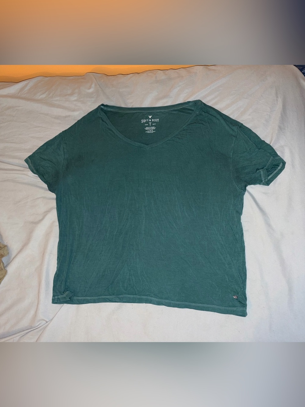 American Eagle Outfitters Soft & Sexy Teal V-Neck Tee